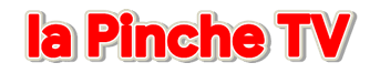 iqonic2